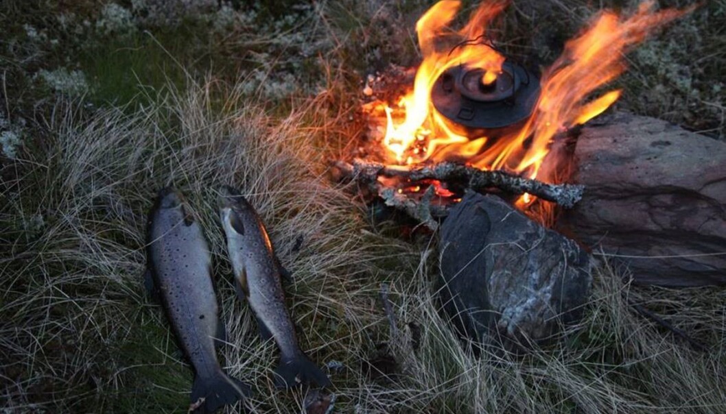 Hardangervidda gir også mulighet for de virkelig lange turene, med telt, fiske og naturopplevelser i stillhet og ro. Hardangervidda gir også mulighet for de virkelig lange turene, med telt, fiske og naturopplevelser i stillhet og ro.