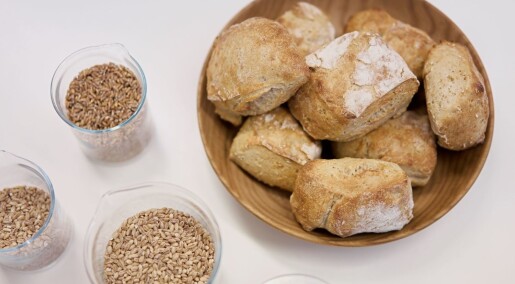 Tror du at du ikke tåler gluten? Det kan være noe helt annet du reagerer på Tror du at du ikke tåler gluten? Det kan være noe helt annet du reagerer på