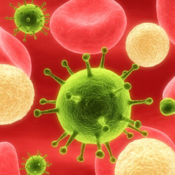 Immunforsvaret er en organismes forsvar mot biologiske fremmedlegemer. (Foto: iStockphoto) Immunforsvaret er en organismes forsvar mot biologiske fremmedlegemer. (Foto: iStockphoto)