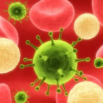 Immunforsvaret er en organismes forsvar mot biologiske fremmedlegemer. (Foto: iStockphoto)