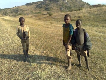 Barn langs veien i Malawi. SSB hjelper dem med å få bedre oversikt over hva som foregår i landet deres. Barn langs veien i Malawi. SSB hjelper dem med å få bedre oversikt over hva som foregår i landet deres.