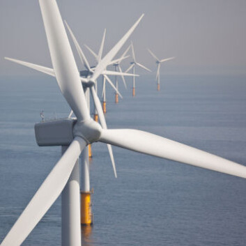 I optimistiske scenario fra IPCC står vindkraft for 20 prosent av verdens energiforsyning i 2050. (Illustrasjonsfoto: iStockphoto) I optimistiske scenario fra IPCC står vindkraft for 20 prosent av verdens energiforsyning i 2050. (Illustrasjonsfoto: iStockphoto)