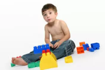 "Noen typer leketøy inneholder ftalater som forskere mistenker kan påvirke stoffskifte og kjønnsutvikling hos barn"