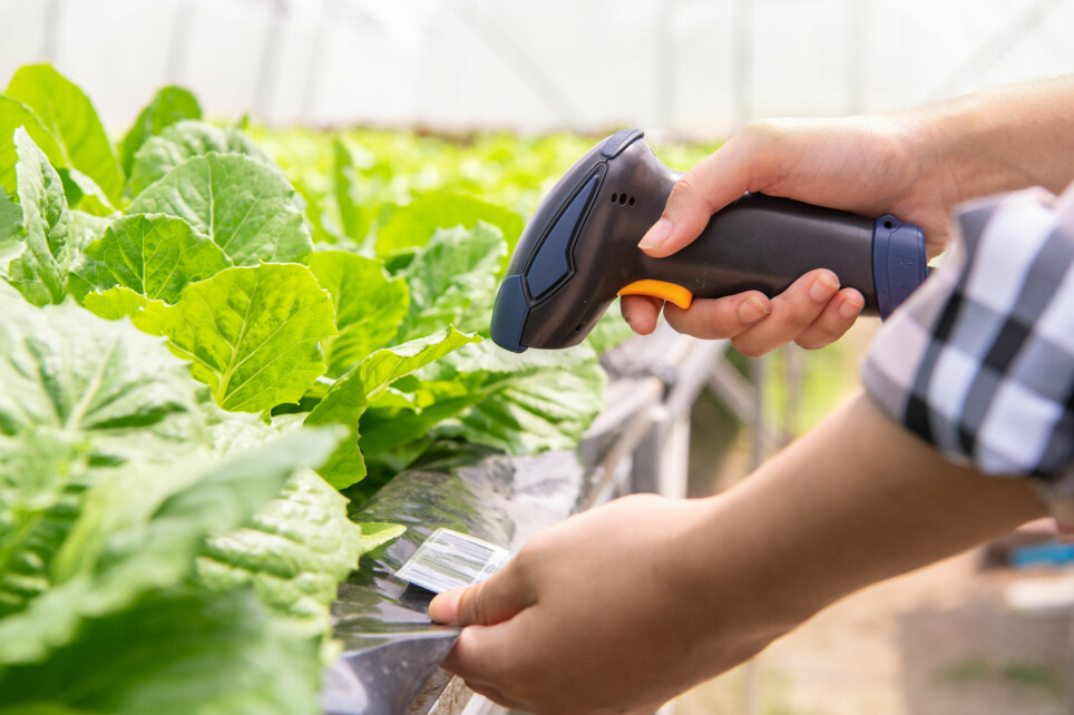 Using brand new technology, it will soon be possible for farmers to scan the produce before shipping it.