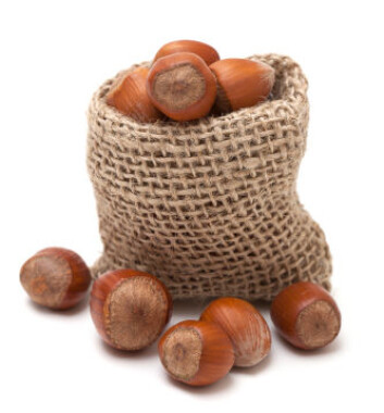 Hos voksne kommer de fleste matallergiske reaksjonene av nøtter, og særlig hasselnøtter og peanøtter. (Foto: iStockphoto) Hos voksne kommer de fleste matallergiske reaksjonene av nøtter, og særlig hasselnøtter og peanøtter. (Foto: iStockphoto)