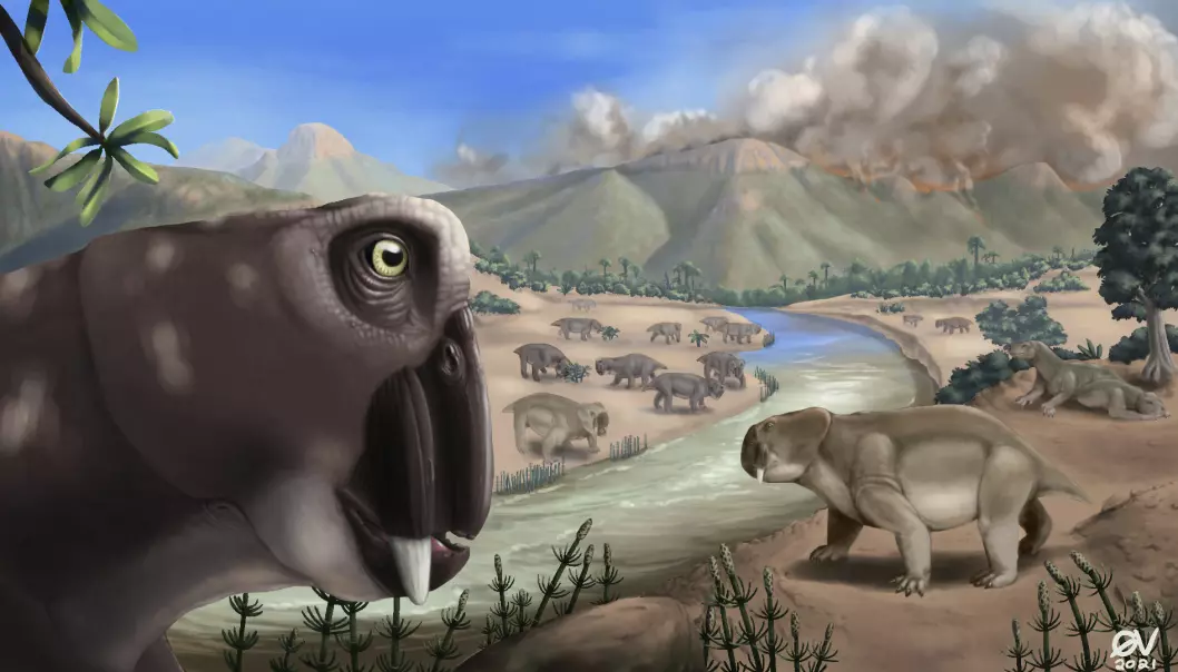 Slik ser en kunstner for seg at Lystrosaurus så ut i øyeblikket da vulkanene brøt ut, og masseytryddelsen var i gang.
