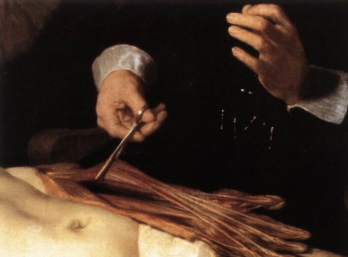 Kva er det med denne underarmen som gjorde at den vart eit mysterium? Og gjorde Dr. Tulp og Rembrandt ein anatomisk feil? (Foto: Wikimedia commons) Kva er det med denne underarmen som gjorde at den vart eit mysterium? Og gjorde Dr. Tulp og Rembrandt ein anatomisk feil? (Foto: Wikimedia commons)