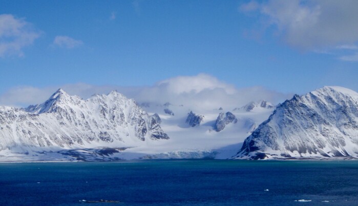 – Vi kan lære mye om evolusjonen ved å studere det ekstreme, sier Siri Birkeland. Da hun først kom til Svalbard, ble hun overrasket over hvor lite det var forsket på kuldetoleranse hos arktiske planter. – Vi kan lære mye om evolusjonen ved å studere det ekstreme, sier Siri Birkeland. Da hun først kom til Svalbard, ble hun overrasket over hvor lite det var forsket på kuldetoleranse hos arktiske planter.