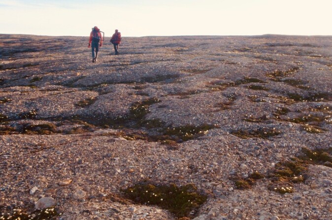 Fra feltarbeid i Gipsvika, Isfjorden, i 2009. Idunn Skjetne og Inger Greve Alsos er på vei tilbake til campen etter en lang dag i felt. I grusen i alle fordypningene vokser reinrose (Dryas octopetalae) – et godt eksempel på hvordan små planter kan klore seg fast på de mest overraskende steder. Fra feltarbeid i Gipsvika, Isfjorden, i 2009. Idunn Skjetne og Inger Greve Alsos er på vei tilbake til campen etter en lang dag i felt. I grusen i alle fordypningene vokser reinrose (Dryas octopetalae) – et godt eksempel på hvordan små planter kan klore seg fast på de mest overraskende steder.