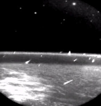 Panspermiateorien foreslår at livet kom til jorden med mikroorganismer inne i langveisfarende meteorider. Her er meteorsvermen Leonidene fotografert fra verdensrommet i 1997. (Foto: NASA) Panspermiateorien foreslår at livet kom til jorden med mikroorganismer inne i langveisfarende meteorider. Her er meteorsvermen Leonidene fotografert fra verdensrommet i 1997. (Foto: NASA)