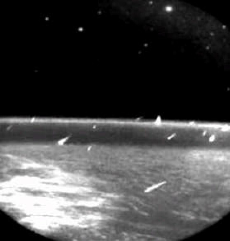 Panspermiateorien foreslår at livet kom til jorden med mikroorganismer inne i langveisfarende meteorider. Her er meteorsvermen Leonidene fotografert fra verdensrommet i 1997. (Foto: NASA)