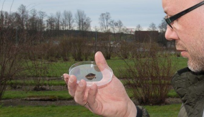 Bjørn Arild Hatteland, forsker ved NIBIO, vil se nærmere på biologisk kontroll med nematoder over tid. Forskerne planlegger også å utvikle en app for å gjenkjenne snegler. Den skal kunne identifisere skadelige eller fremmede sneglearter. Bjørn Arild Hatteland, forsker ved NIBIO, vil se nærmere på biologisk kontroll med nematoder over tid. Forskerne planlegger også å utvikle en app for å gjenkjenne snegler. Den skal kunne identifisere skadelige eller fremmede sneglearter.