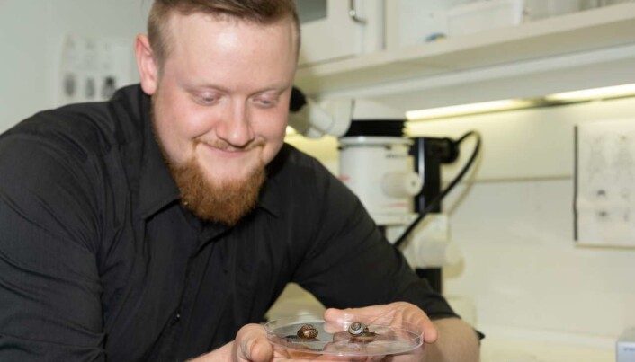 Henrik Antzée-Hyllseth forsker på biologisk kontroll på brunskogsnegler og hvordan dette påvirker andre snegler. Henrik Antzée-Hyllseth forsker på biologisk kontroll på brunskogsnegler og hvordan dette påvirker andre snegler.