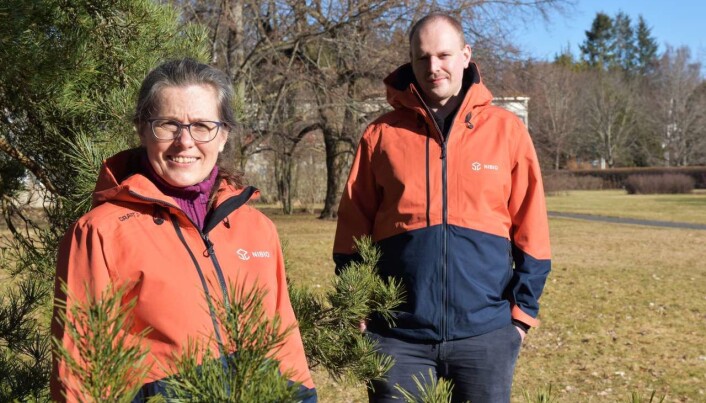 May Bente Brurberg og Simeon Rossman har tro på at den nye metoden med miljø-DNA metastrekkoding vil gi mye bedre innsikt i hva importen av planter faktisk betyr for norsk natur og landbruk. May Bente Brurberg og Simeon Rossman har tro på at den nye metoden med miljø-DNA metastrekkoding vil gi mye bedre innsikt i hva importen av planter faktisk betyr for norsk natur og landbruk.