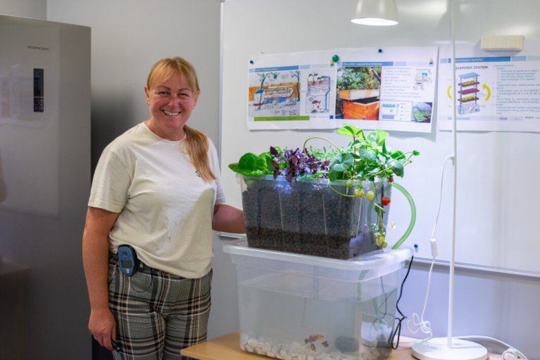 This aquaponics-unit is simple and cheap to build. What it takes is a rubber tube, a pump, sprinkling filter, light pebble granules, a growth light bulb in a regular lamp, and of course fish and fish feed. Project leader Siv Lene Gangenes Skar from NIBIO explains that a growth light bulb can be added to a normal lamp, and it is possible to use pebble granules that you find in your courtyard or local area. Only basic plastic boxes with cover is necessary. It’s important to remember to drill a hole on top of the plastic box, to make room for the pump and sprinkling filter. This aquaponics-unit is simple and cheap to build. What it takes is a rubber tube, a pump, sprinkling filter, light pebble granules, a growth light bulb in a regular lamp, and of course fish and fish feed. Project leader Siv Lene Gangenes Skar from NIBIO explains that a growth light bulb can be added to a normal lamp, and it is possible to use pebble granules that you find in your courtyard or local area. Only basic plastic boxes with cover is necessary. It’s important to remember to drill a hole on top of the plastic box, to make room for the pump and sprinkling filter.