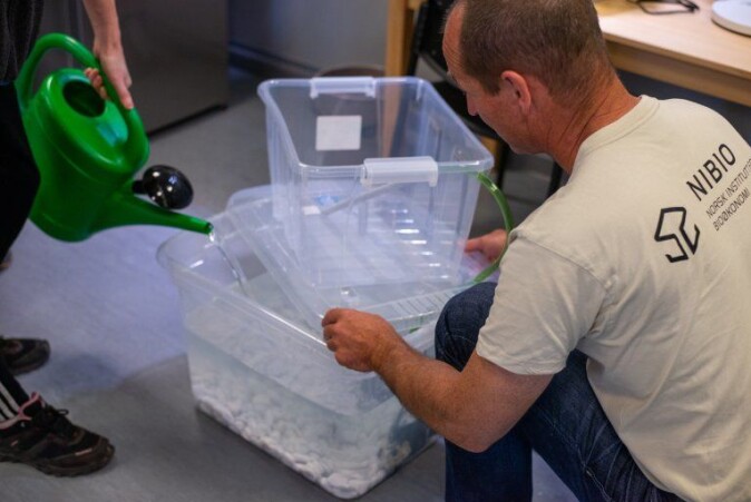 Engineer Atle Beisland from NIBIO, installs the aquaponics box together with enthusiastic participants. Engineer Atle Beisland from NIBIO, installs the aquaponics box together with enthusiastic participants.