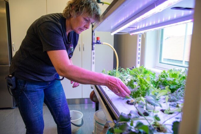 Ingebjørg Tønnesland Hodne from Setesdal High School, works part-time for the prison project. She is responsible to maintain the hydroponic and aquaponic facilities, and talk to the inmates about the project. Ingebjørg Tønnesland Hodne from Setesdal High School, works part-time for the prison project. She is responsible to maintain the hydroponic and aquaponic facilities, and talk to the inmates about the project.