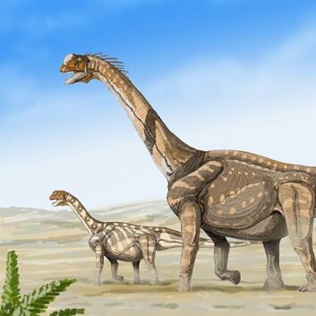 Er humaniora på universitetet bare en gammel dinosaur? Eller har fag som historie, filosofi og musikkvitenskap noe å by på? Ja, det har de faktisk – særlig hvis fagene samarbeider om å løse konkrete problemer, mener tilhengerne av tverrvitenskapelig forskning og undervisning. (Foto: (Kilde: Dmitry Bogdanov/ Wikimedia Commons)) Er humaniora på universitetet bare en gammel dinosaur? Eller har fag som historie, filosofi og musikkvitenskap noe å by på? Ja, det har de faktisk – særlig hvis fagene samarbeider om å løse konkrete problemer, mener tilhengerne av tverrvitenskapelig forskning og undervisning. (Foto: (Kilde: Dmitry Bogdanov/ Wikimedia Commons))
