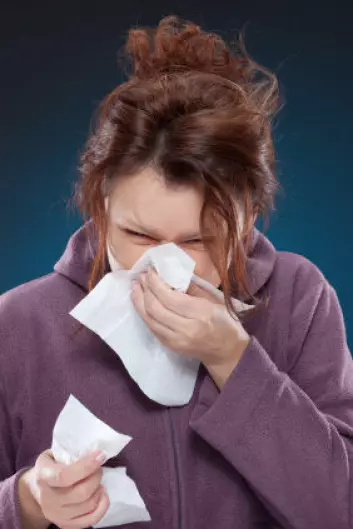 Namork sier nitti prosent av alle allergiske reaksjoner skyldes kryssreaksjoner på pollenallergi. (Foto: iStockphoto)