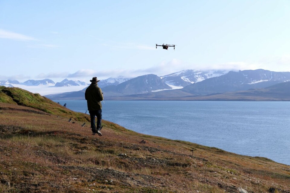 Drones could prove to be a valuable method for mapping larger areas. High-resolution drone images may uncover unnaturally green areas that require further investigation. (Photo: Kristine Bakke Westergaard / NINA)