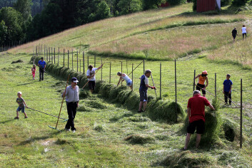 Fra slåttekurset på Ryghsetra i Nedre Eiker kommune. (Foto: Oskar Puschmann/Skog og landskap) Fra slåttekurset på Ryghsetra i Nedre Eiker kommune. (Foto: Oskar Puschmann/Skog og landskap)