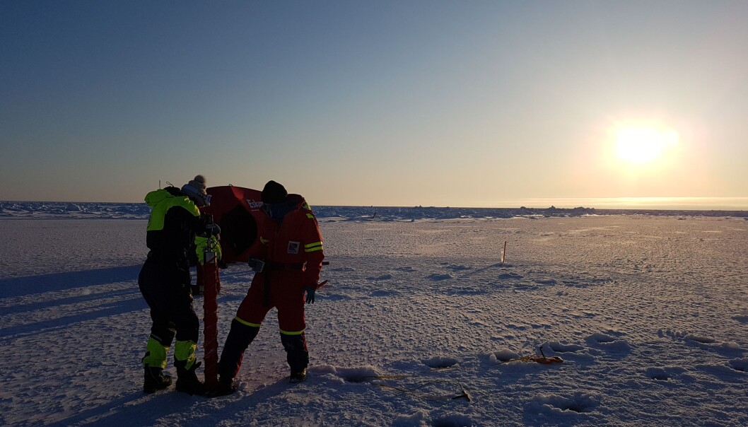 Selv om vi forskere setter pris på at solen skinner, er ikke livet i isen og havet helt fornøyd med mengden sollys enda. Selv om vi forskere setter pris på at solen skinner, er ikke livet i isen og havet helt fornøyd med mengden sollys enda.