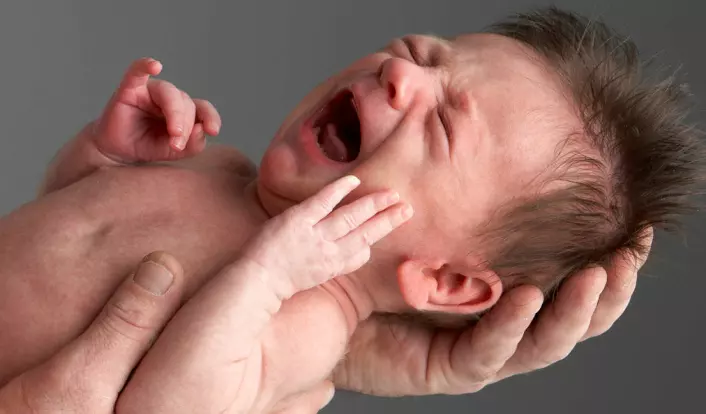 Babyens helse videre i livet bestemmes av mange faktorer. Noen studier antyder en sammenheng mellom fødselsmåned og enkelte negative helseeffekter. (Foto: Colourbox.com)