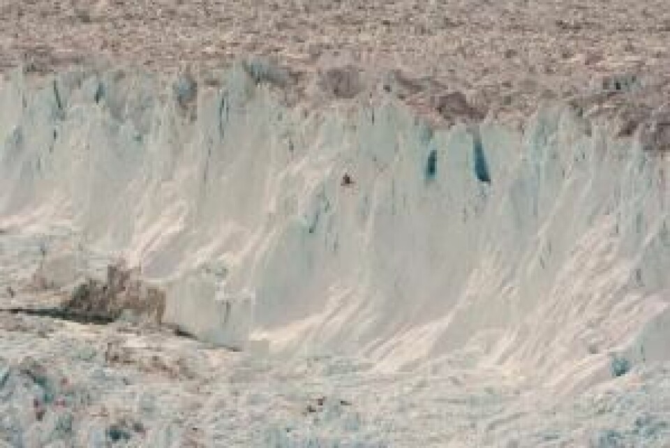 En enorm isbre i Nordøst-Grønland har siden 2006 mistet store mengder is. Isbreens bidrag til stigningene i verdenshavene er ikke med i forskernes modeller. (Foto: Shfaqat Abbas Khan)