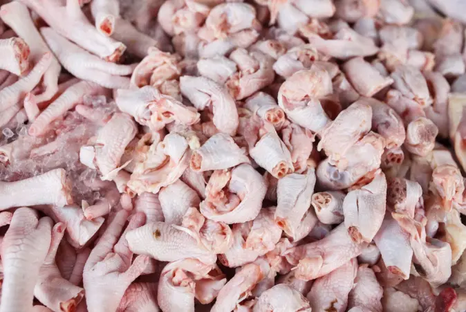 Kyllingavskjær kan brukes til å produsere bakterier eller gjær, som så kan brukes til for eksempel olje eller nye matingredienser. Kyllingavskjær kan brukes til å produsere bakterier eller gjær, som så kan brukes til for eksempel olje eller nye matingredienser.