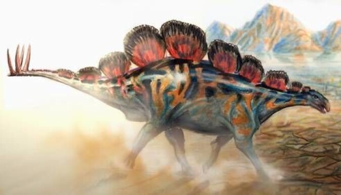Stegosaur-arten <span class=" italic" data-lab-italic_desktop="italic">Wuerhosaurus homheni</span> levde i området som fotsporene er funnet. Stegosaur-arten <span class=" italic" data-lab-italic_desktop="italic">Wuerhosaurus homheni</span> levde i området som fotsporene er funnet.