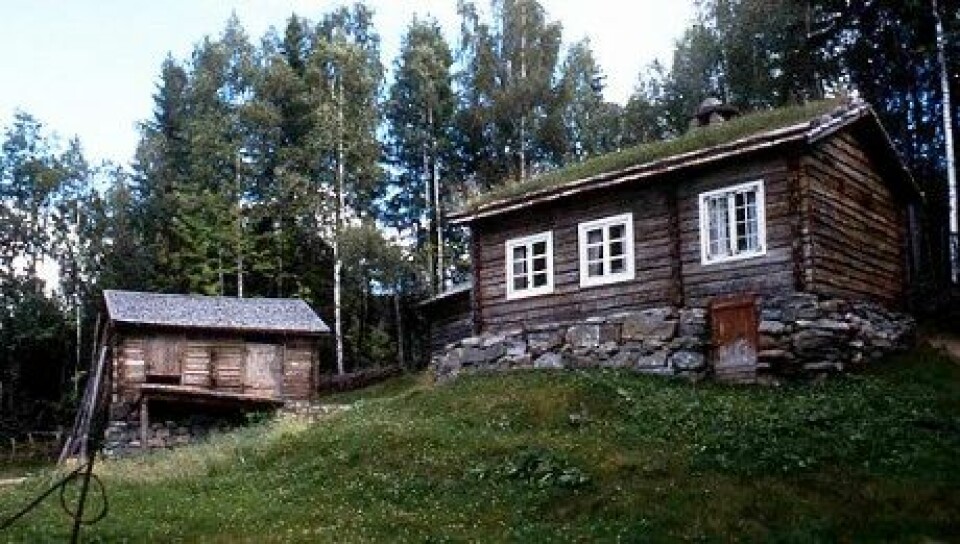 På dette huset fra begynnelsen av 1800-tallet ser vi inngangen til potetkjelleren. Det står i dag i Friluftsmuseet Maihaugen i Lillehammer. (Foto: Kåre Hosar/Maihaugen)