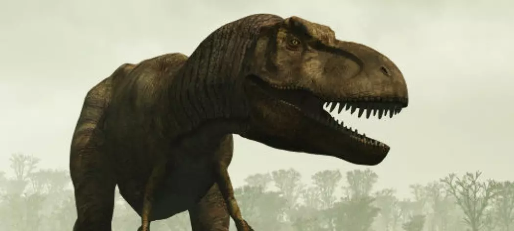 Spør en forsker: Kan man vekke en Tyrannosaurus til live igjen?