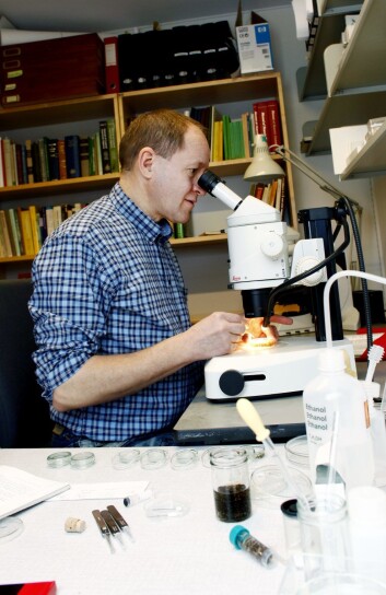 Geir Søli ved Naturhistorisk museum ved Universitetet i Oslo har ledet forskningsprosjektene rundt Oslofjorden. (Foto: Kristin Svorte) Geir Søli ved Naturhistorisk museum ved Universitetet i Oslo har ledet forskningsprosjektene rundt Oslofjorden. (Foto: Kristin Svorte)