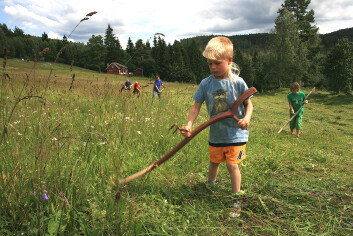 Det populære slåttekurset på Ryghsetra gir håp for en framtid for denne formen for jordbruk med høy naturverdi – hvor rekreasjon, livskvalitet og biologisk mangfold er blitt vel så viktige verdier som matproduksjon i seg selv. (Foto: Oskar Puschmann/Skog og landskap) Det populære slåttekurset på Ryghsetra gir håp for en framtid for denne formen for jordbruk med høy naturverdi – hvor rekreasjon, livskvalitet og biologisk mangfold er blitt vel så viktige verdier som matproduksjon i seg selv. (Foto: Oskar Puschmann/Skog og landskap)