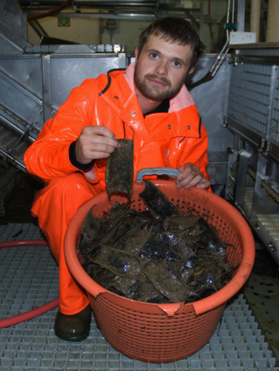 Arve Lynghammar med mengder av isskate-egg funnet like sør for Svalbard. (Foto: Merete Kvalsund, Havforskningsinstituttet)
