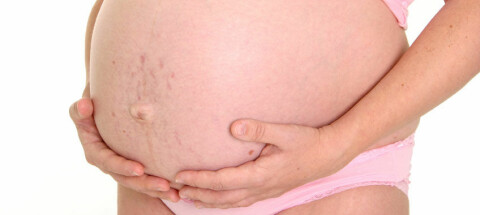 urinveisinfeksjon gravid