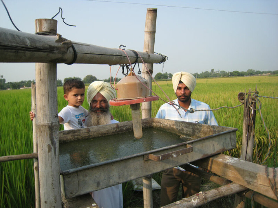 Inderjeet Singh, en av de aktive økobøndene i Punjab, med barnebarnet på skulderen. Sønnen til høyre. De står her bak en insektsfelle som fanger insekter ved hjelp av lys i mørket. Dette er en av teknikkene de økologiske bøndene bruker som alternativ til kjemiske sprøytemidler. (Foto: Anna Marie Nicolaysen)