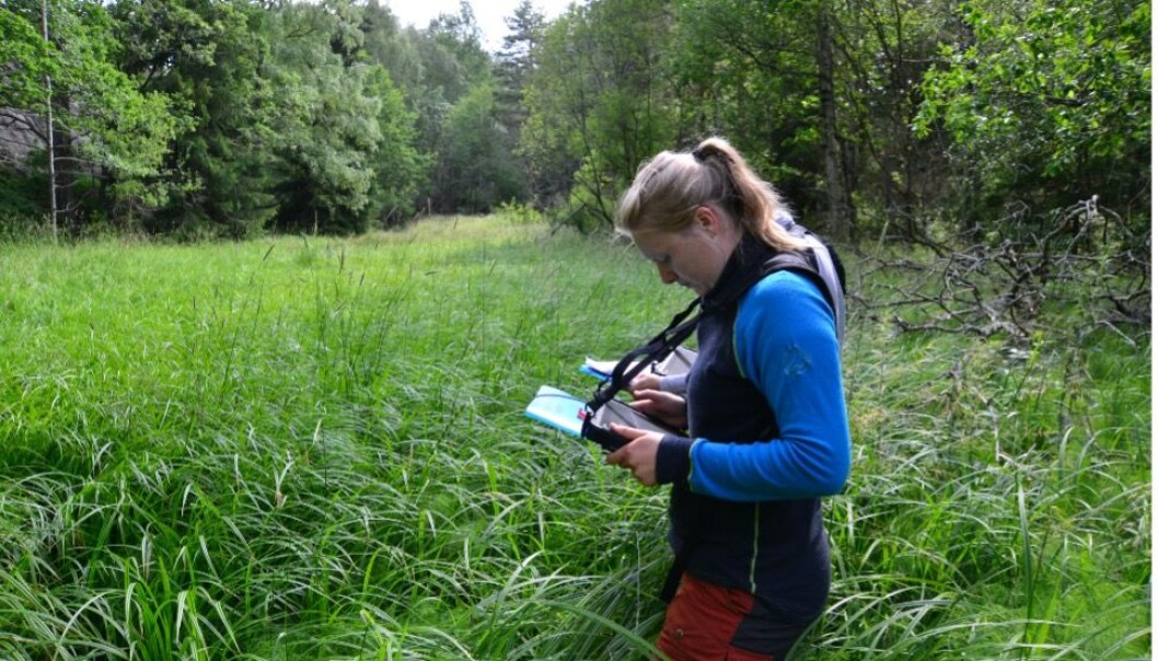 Natursystemer i NiN beskrives med utgangspunkt i arter og miljøvariasjon, og digitale kart tegnes på felt-PC. Natursystemer i NiN beskrives med utgangspunkt i arter og miljøvariasjon, og digitale kart tegnes på felt-PC.