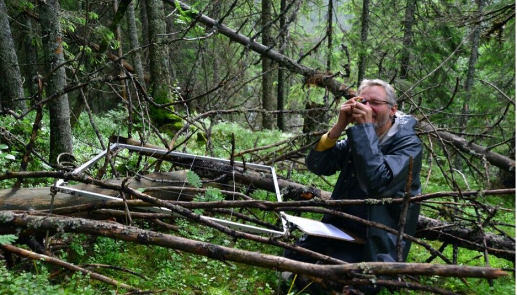 Natursystemer i NiN beskrives med utgangspunkt i arter og miljøvariasjon. Natursystemer i NiN beskrives med utgangspunkt i arter og miljøvariasjon.