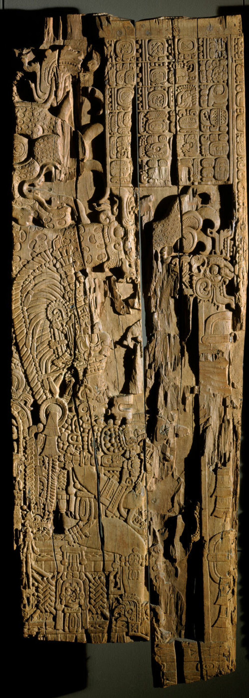 Se bildet i full størrelse Utskåret takbjelke fra mayabyen Tikal i Guatemala. Utskjæringene viser kong Jasaw Chan K'awiil sittende på en trone. Ansiktet er seinere blitt borte. Over ham er en jaguarskikkelse. Oppe i høyre hjørne er en tekst som beskriver slaget og hvilket år det skjedde etter mayakalenderen. Prøver fra treverket i denne bjelken er nå brukt til å kalibrere kalenderen mot vår egen. (Foto: Museum der Kulturen)