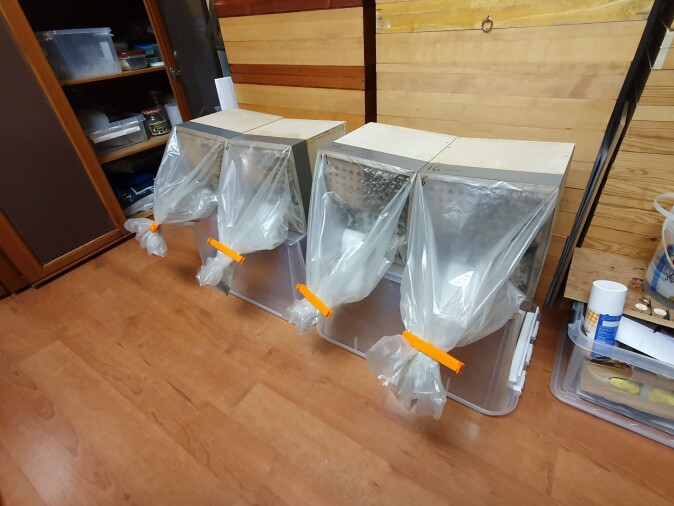 Modulene ble tatt inn for klekking og utstyrt med plastposer for å fange opp insekter. Modulene ble tatt inn for klekking og utstyrt med plastposer for å fange opp insekter.