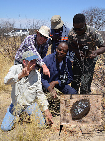 Mohutsiwa Gabadirwe (midten) og Peter Jenniskens (venstre) på stedet der de fant bit nummer to av asteroide 2018 LA, Central Kalahari viltreservat. Mohutsiwa Gabadirwe (midten) og Peter Jenniskens (venstre) på stedet der de fant bit nummer to av asteroide 2018 LA, Central Kalahari viltreservat.