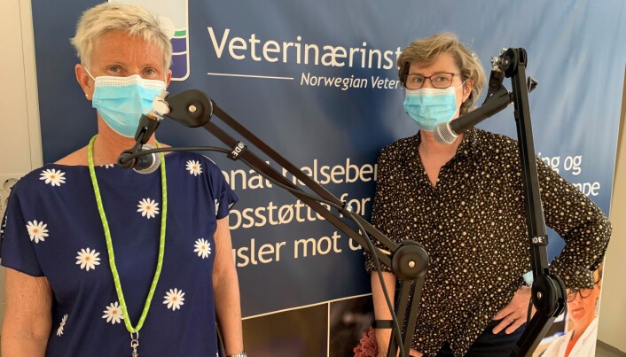 Sylvie L. Benestad er fagansvarlig for analyser, diagnostikk og forskning på prionsykdommer på Veterinærinstituttet. Randi Terland er laboratorieleder. Sylvie L. Benestad er fagansvarlig for analyser, diagnostikk og forskning på prionsykdommer på Veterinærinstituttet. Randi Terland er laboratorieleder.
