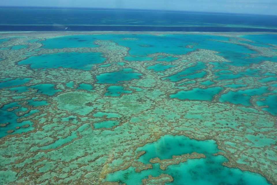 Great Barrier Reef utenfor Australia er verdens største korallrev. (Foto: Colourbox)