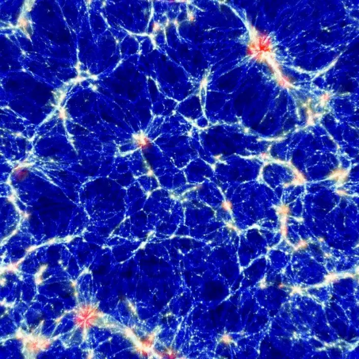 Kosmisk spindelvev: Dette bildet er fra en numerisk simulering av hvordan materien (både den lysende og den mørke) ser ut på veldig stor skala. Vi ser et slags edderkoppspinn av områder med mye materie (røde flekker), tynne filamenter («armene» mellom klumpene) og tomrom (blå områder). Utstrekningen på bildet er nesten 900 millioner lysår. (Foto: (Bilde: Klaus Dolag, Universitäts-Sternwarte München, Ludwig-Maximillians-Universität))