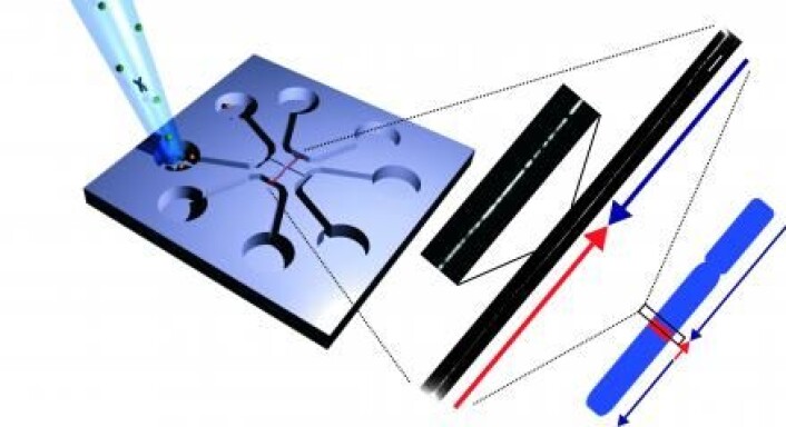 Forskere fra DTU har utviklet en ny teknikk til å studere DNA. Her et enkelt stykke DNA som er strukket i ut midten av en chip med mikro- og nanokanaler. Mønsteret på DNA-et fotograferes gjennom et mikroskop. Sammenligning av dette bildet med et mønster fra det referansegenomet viser at en del er snudd (pilene viser leseretningen). (Foto: Rodolphe Marie) Forskere fra DTU har utviklet en ny teknikk til å studere DNA. Her et enkelt stykke DNA som er strukket i ut midten av en chip med mikro- og nanokanaler. Mønsteret på DNA-et fotograferes gjennom et mikroskop. Sammenligning av dette bildet med et mønster fra det referansegenomet viser at en del er snudd (pilene viser leseretningen). (Foto: Rodolphe Marie)