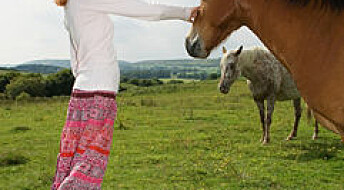 Hesteterapi mot spiseforstyrrelser