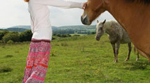 Hesteterapi mot spiseforstyrrelser