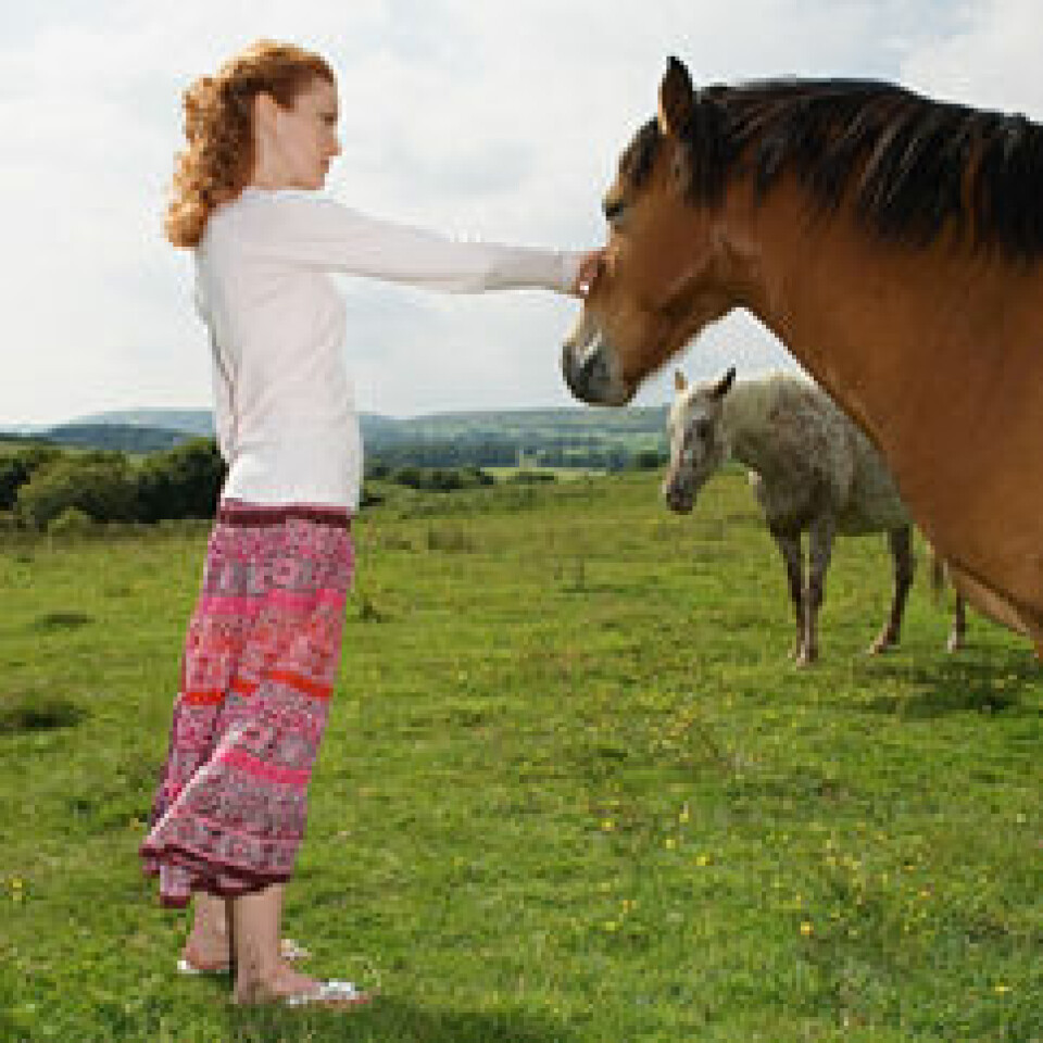 Terapi med hester bidro til at pasienter med spiseforstyrrelser viste en økt grad av selvstendighet, selvtillit, ansvar og kontroll. (Foto: www.colourbox.com)