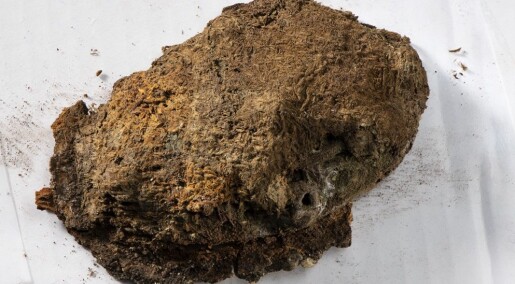 Enestående vikingtekstiler funnet i kvinnegrav Enestående vikingtekstiler funnet i kvinnegrav